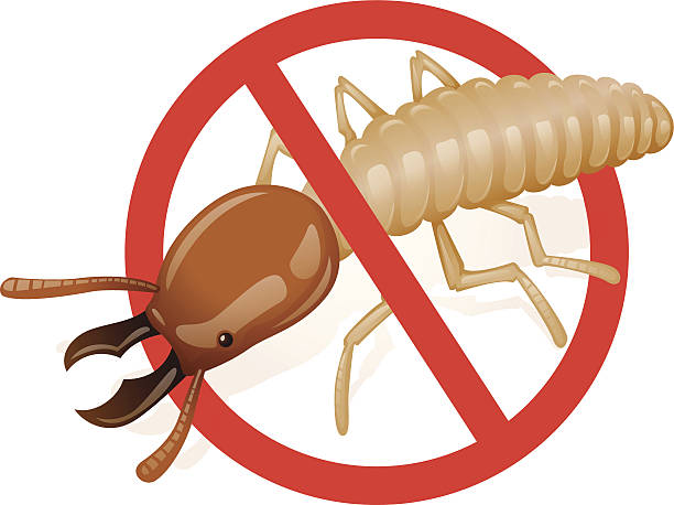 مكافحة الرمة