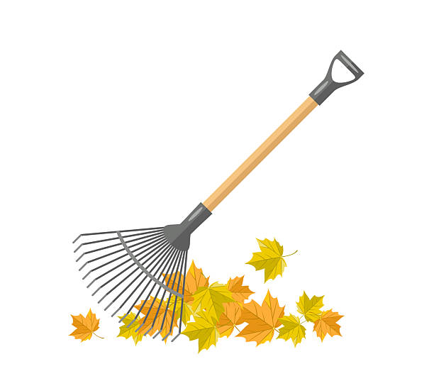 تنظيف الاحواش